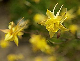 《海贼王：时光旅诗》试玩版概述预告 1月10日上线